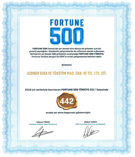 Fortune 500