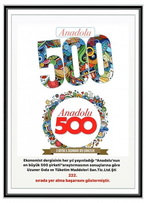 Anadolu 500